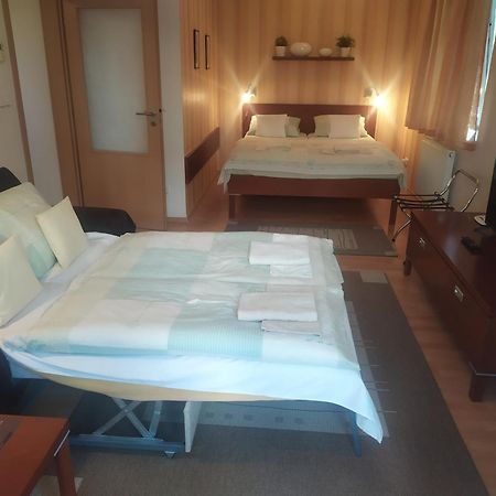Gonda Apartments Hradec Kralove Ngoại thất bức ảnh
