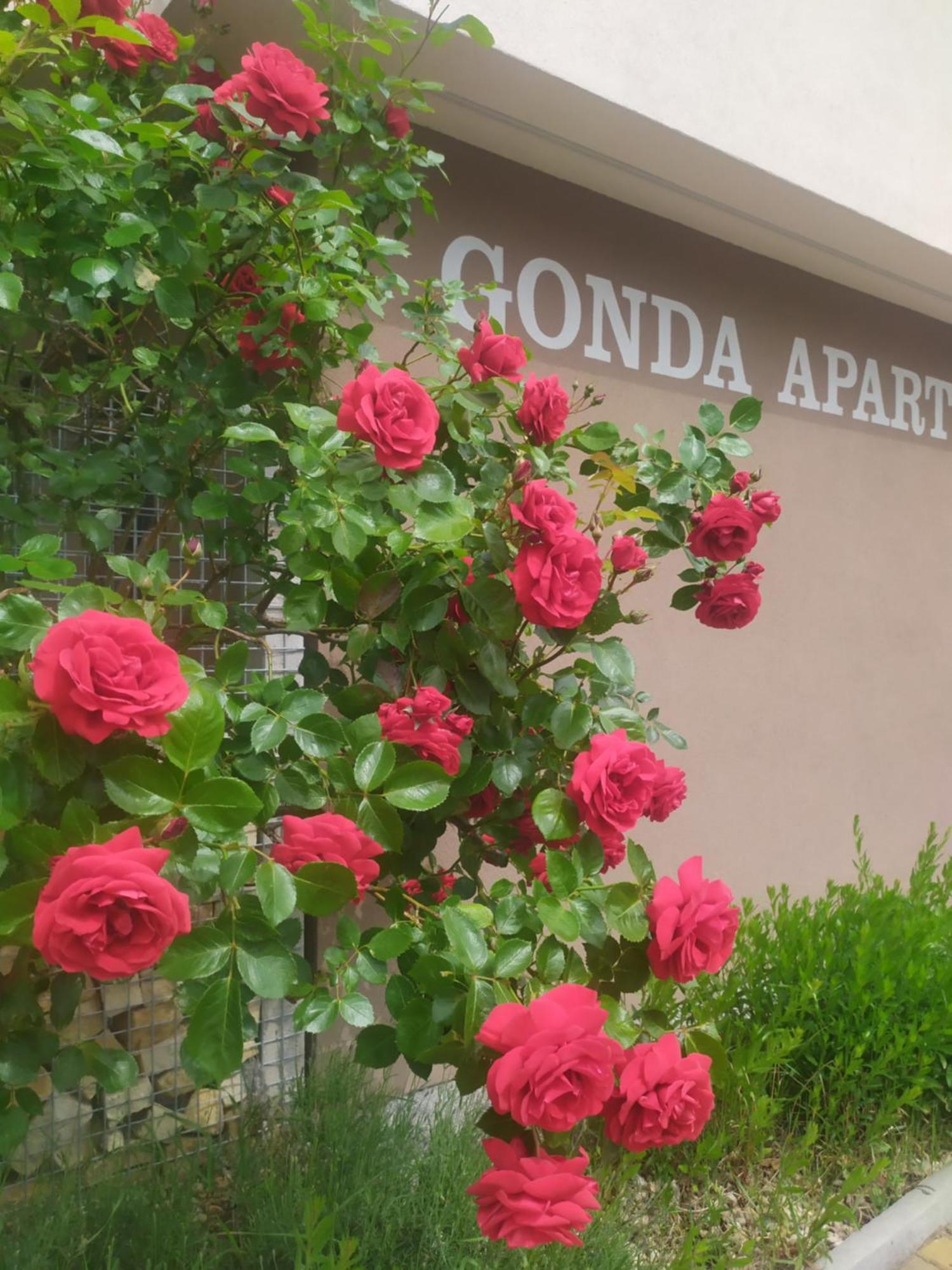 Gonda Apartments Hradec Kralove Ngoại thất bức ảnh